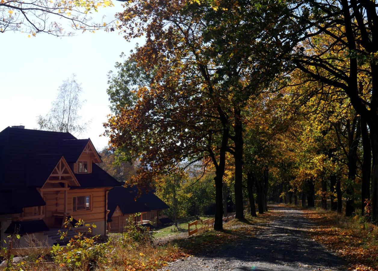 Osada Sudecka Villa Lądek-Zdrój Eksteriør billede